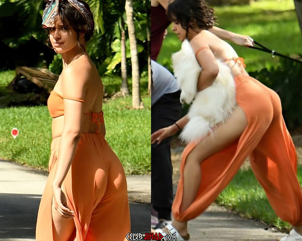Camila Cabello ass