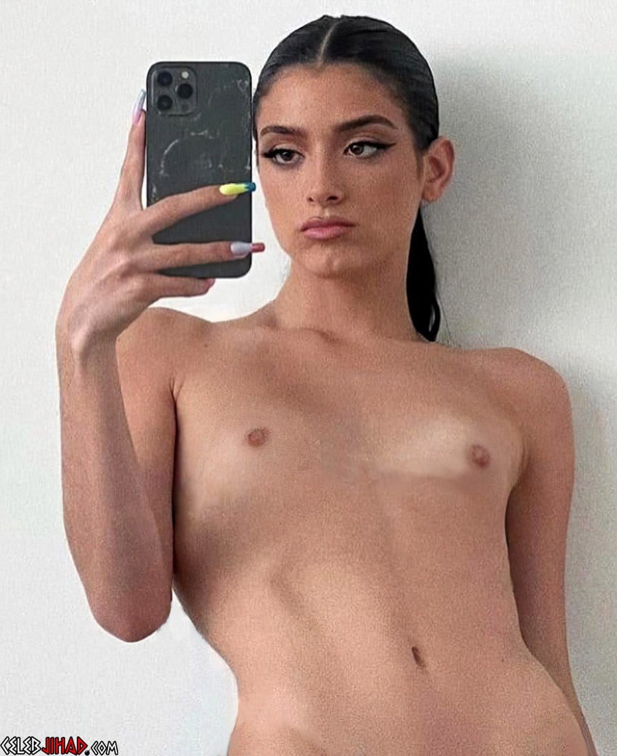 Dixie D’Amelio Fully Nude Selfies And Creampie Celebrity Sex