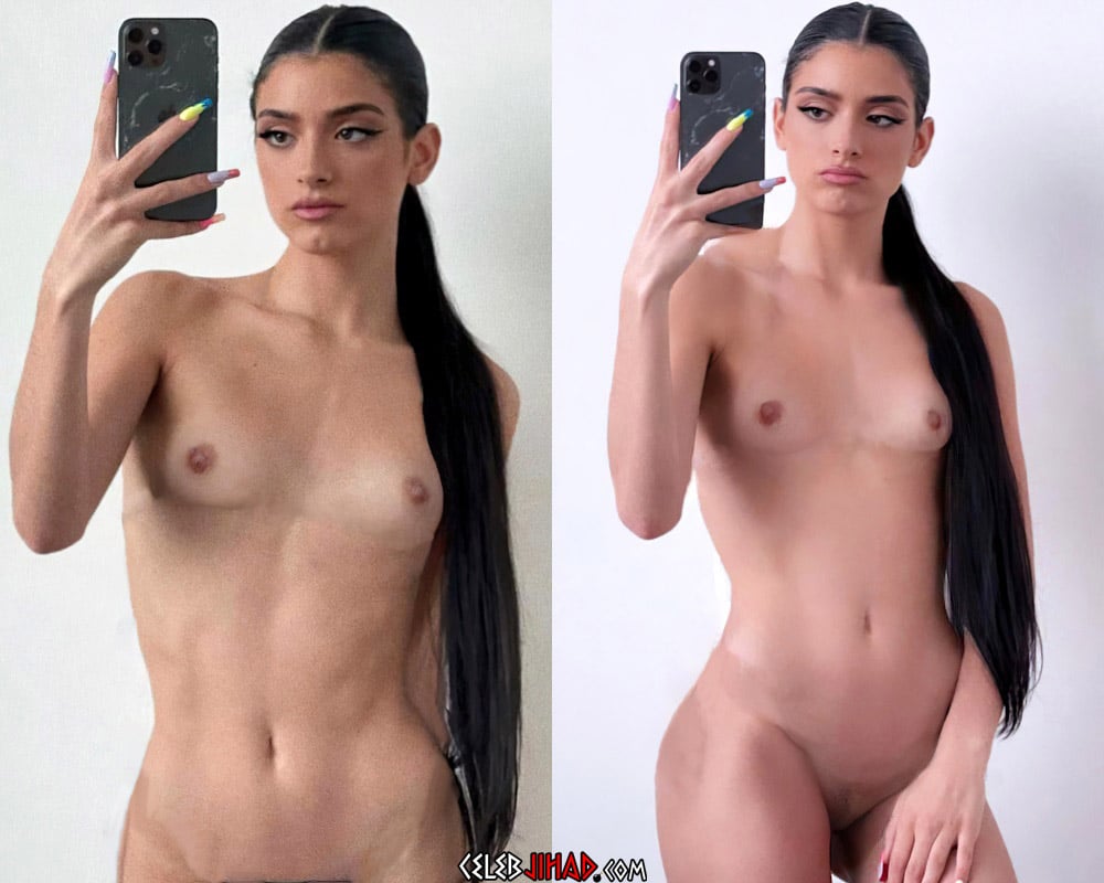 Dixie D’Amelio Fully Nude Selfies And Creampie