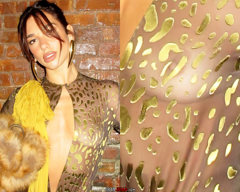 Dua Lipa nude tit