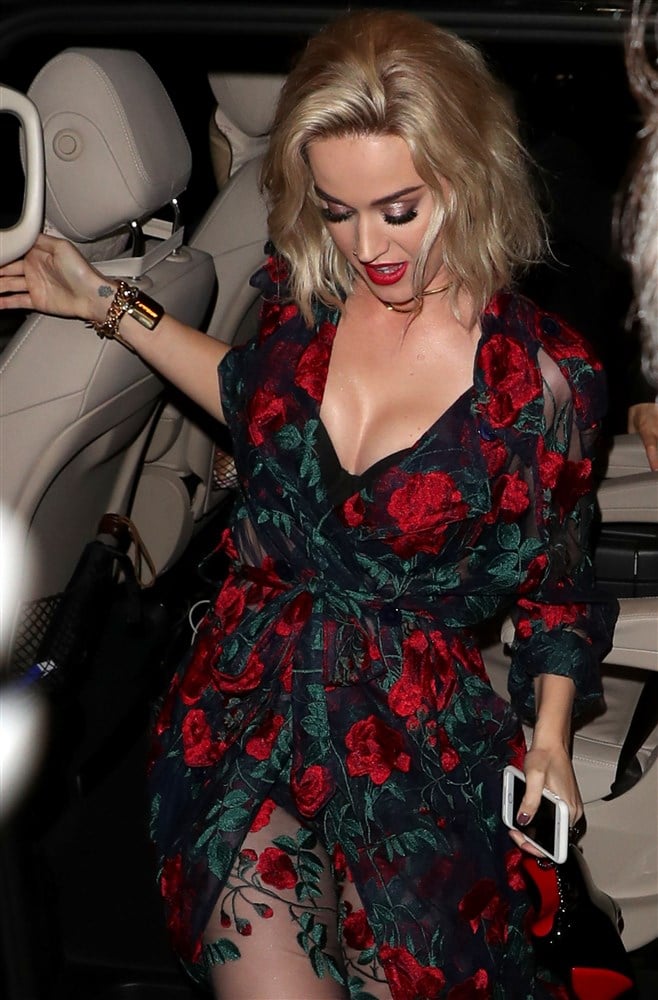 Katy Perry Drunk While Shaking Her Ass At A Party