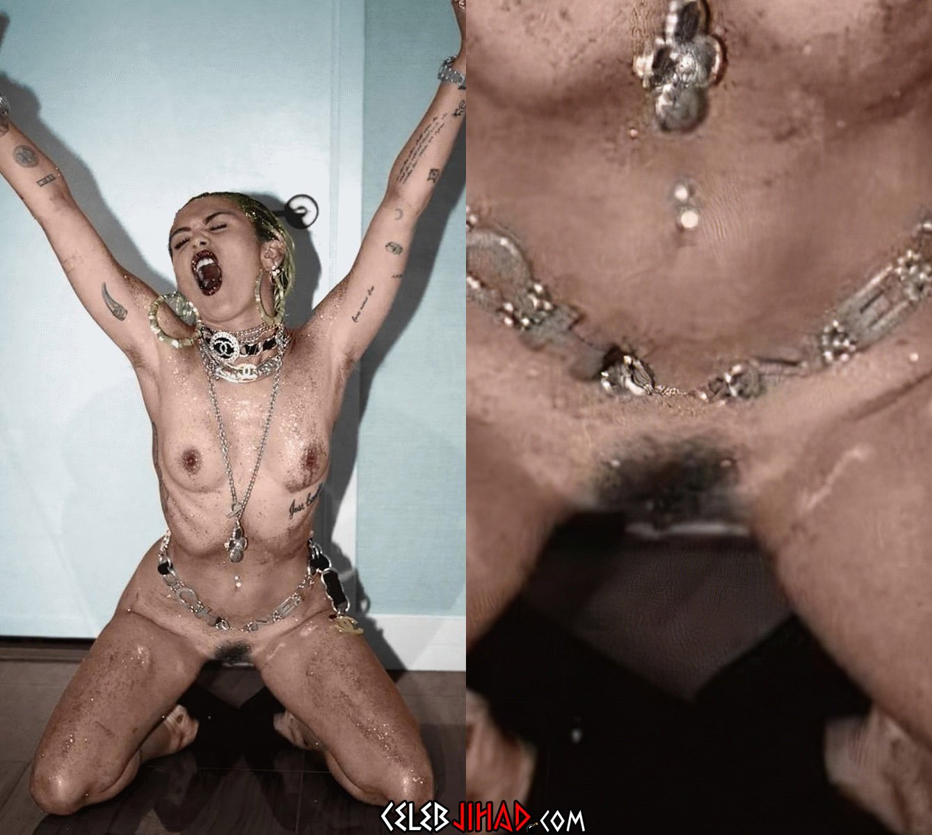 Miley Cyrus Nude Pussy Pic Collection
