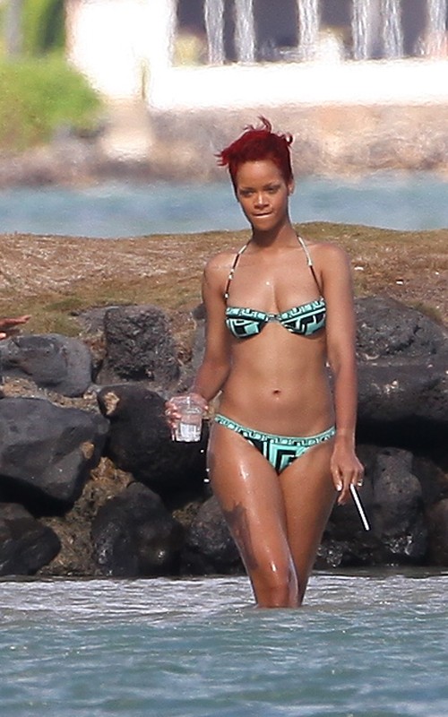 Rihanna Portrait Of A Lady
