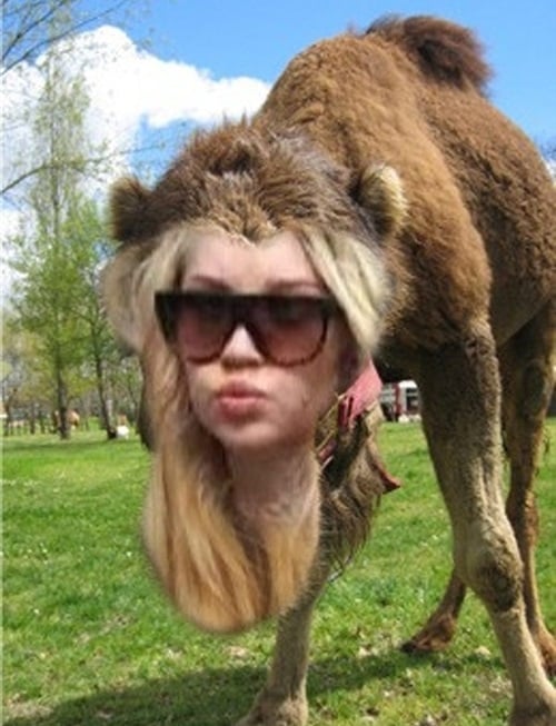 Amanda Bynes camel