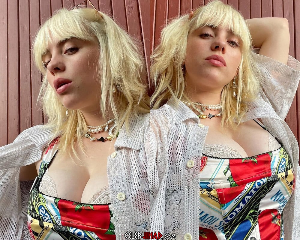 Billie eilish tit flash