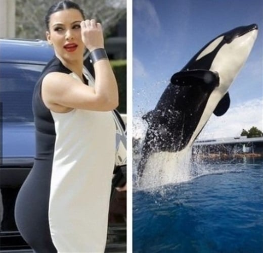 Kim Kardashian Shamu