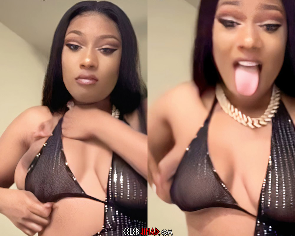 Megan Thee Stallion Nude Tit Slip And Ass Twerking Compilation Megan Thee Stallion Nude Tit Slip And Ass Twerking Compilation