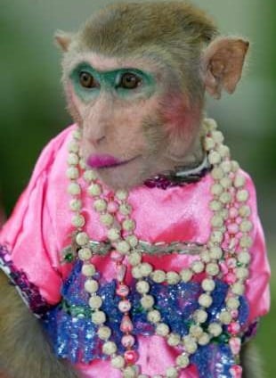 Nicki Minaj monkey