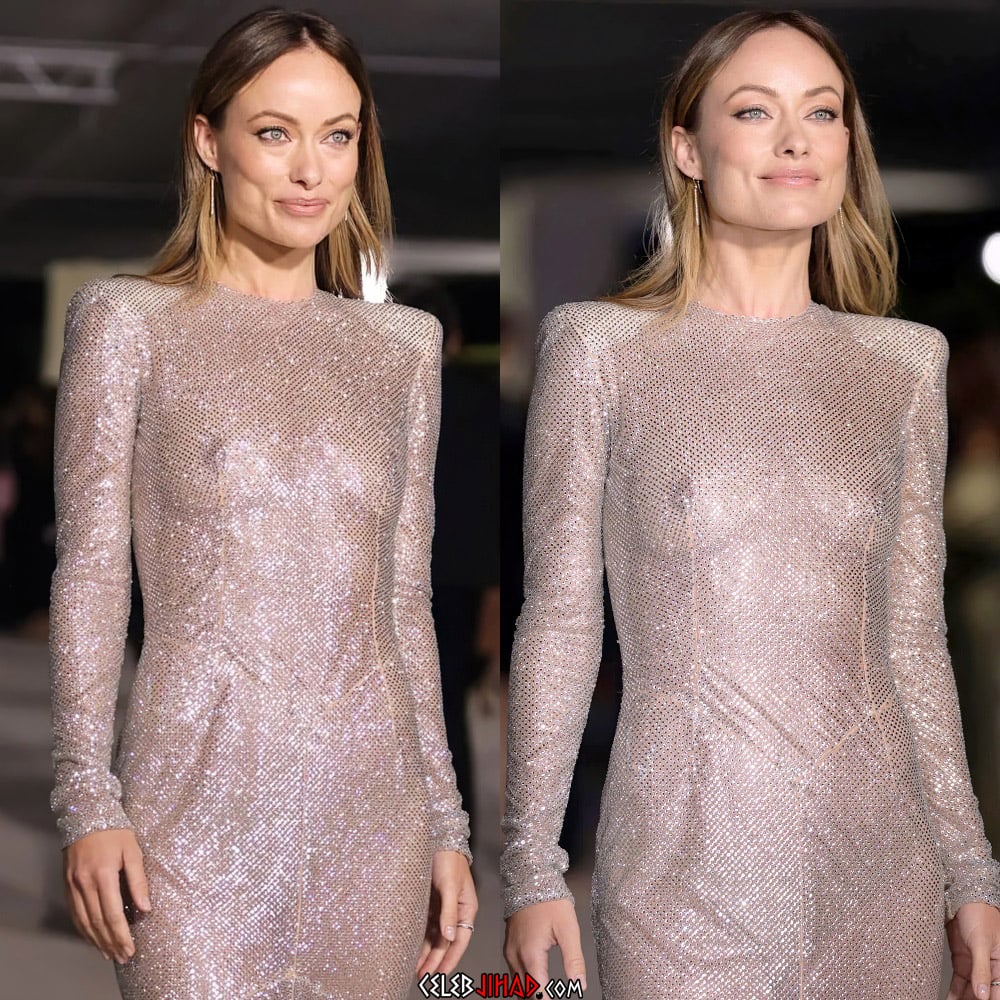 Olivia Wilde nipples