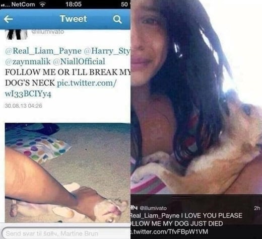 Fan Kills Her Dog To Impress Boy Band ‘One Direction’