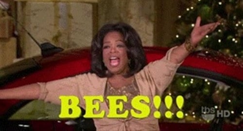 Oprah Unleashes Swarm Of Bees On Audience