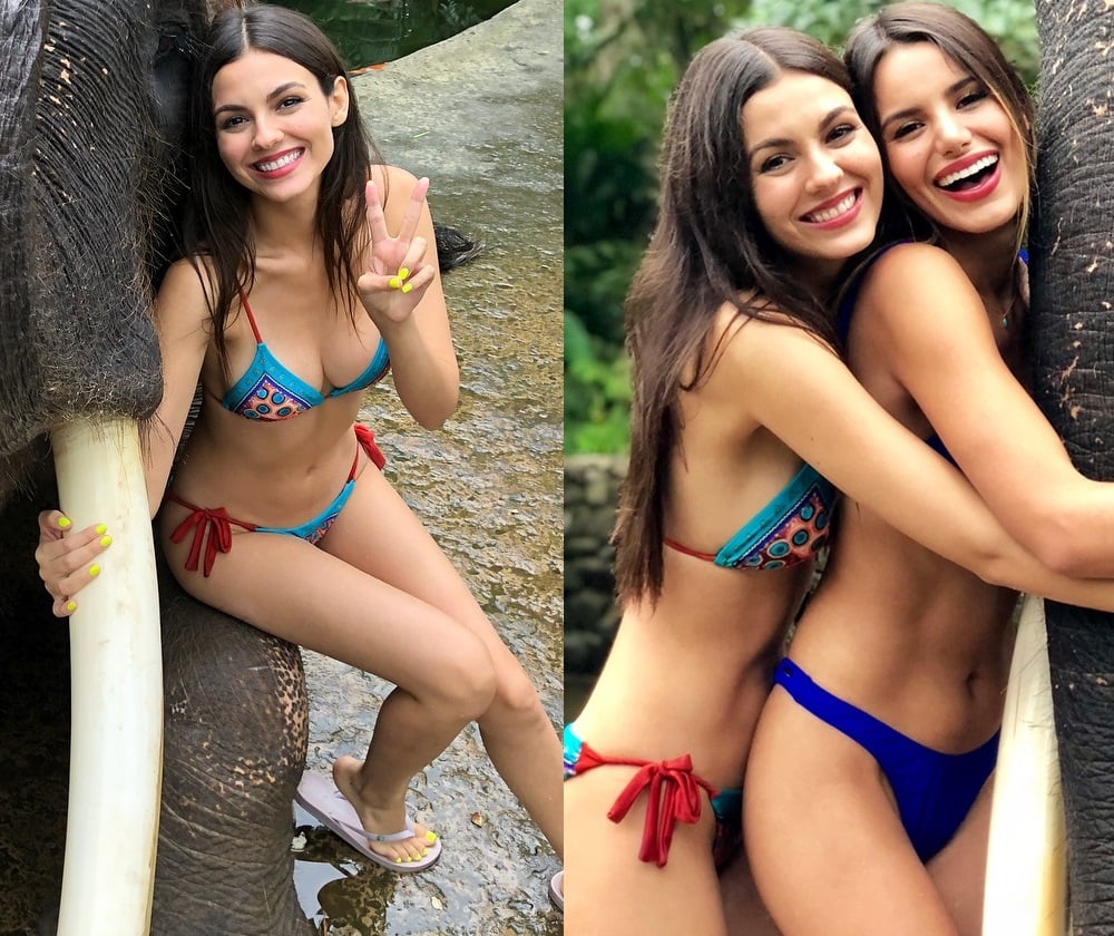 Victoria Justice Whoring To Save The Elephants