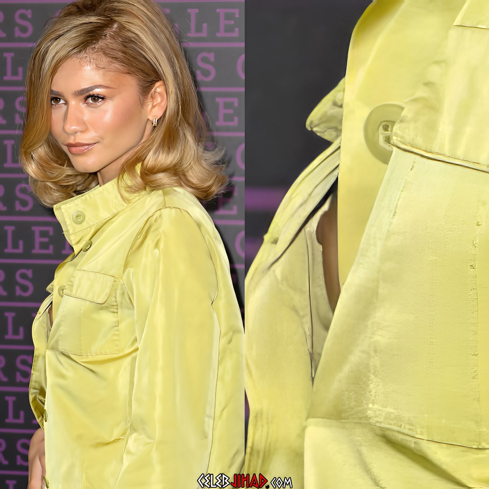 Zendaya nipple slip