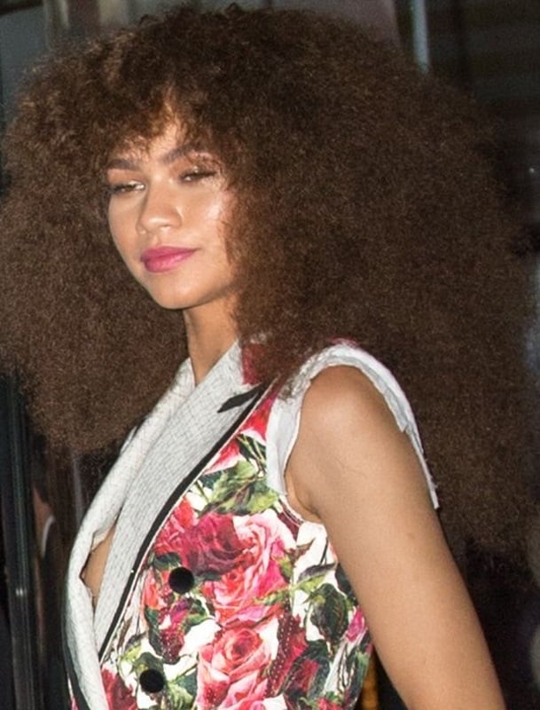 Zendaya nipple slip