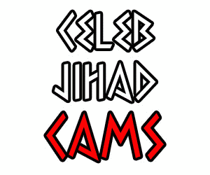 Poonam pandey sex tape