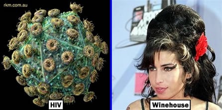 Winehouse HIV