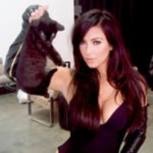 Kim Kardashian’s Latest Animal Torture Alligations