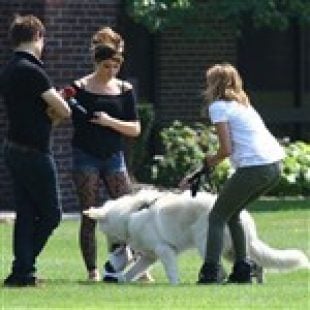 Miley Cyrus Ashley Greene Caught In Dog Fighting Ring