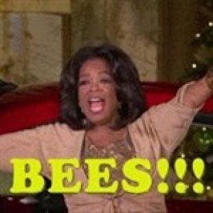 Oprah Unleashes Swarm Of Bees On Audience