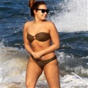 Demi Lovato Chunky Bikini Pics