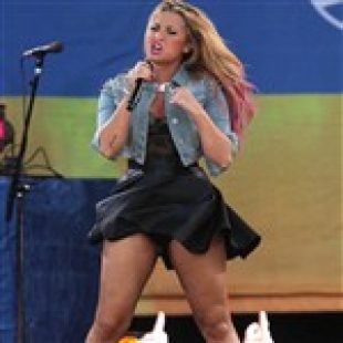 Demi Lovato Thunder Thighs Upskirt Pic