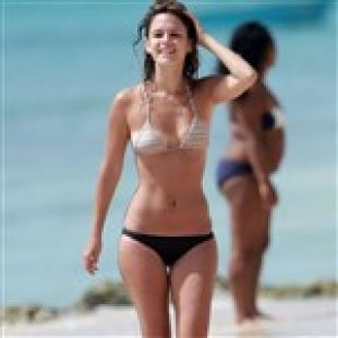 21 Picture Rachel Bilson Bikini Bombing