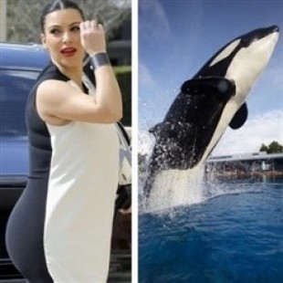 Who Wore It Better? Kim Kardashian vs. Shamu