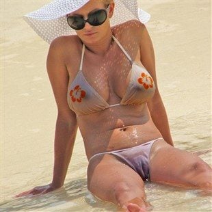 Leicht Permanent Pardon Real Mothers On Beach In Seethru Bikini Zucker