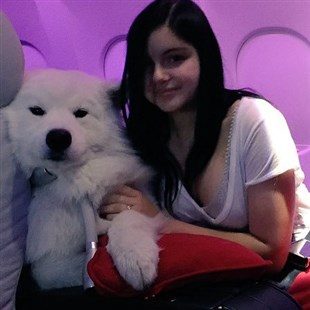 Ariel Winter Caught Sexually Abusing A Dog