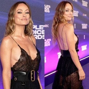 Olivia Wilde Shows Her Tits While Braless In A See Thru Dress